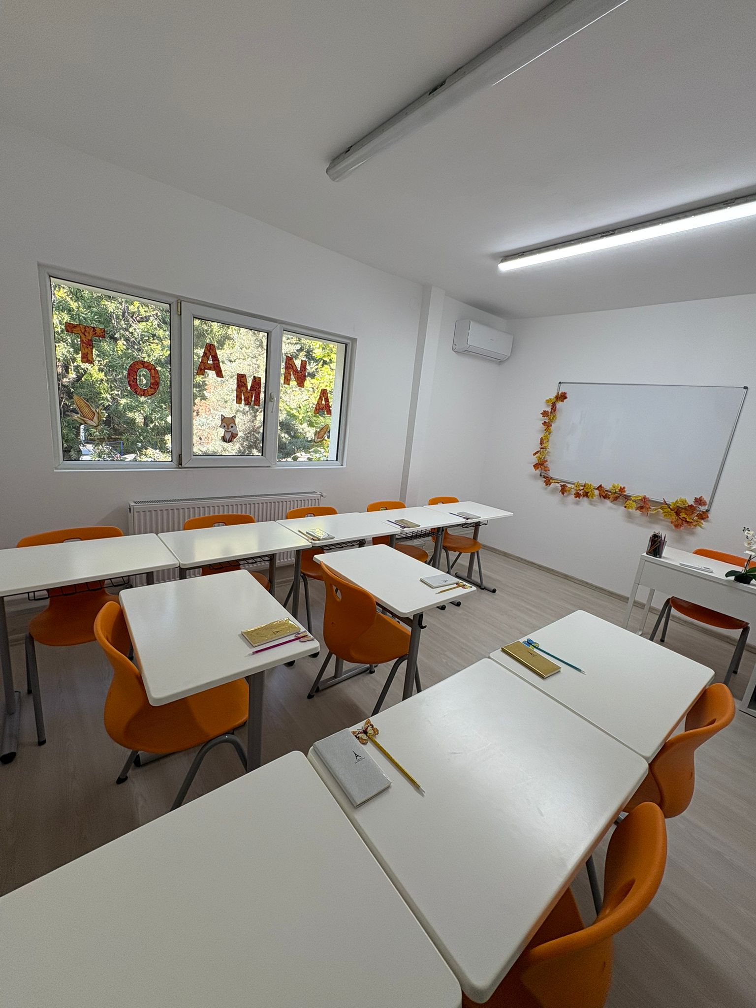 After School Iepurașul Bocănilă